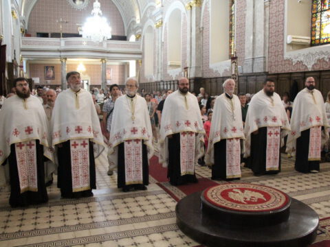 IMG_6577_resize_resize