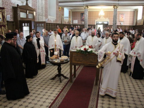 IMG_6588_resize_resize