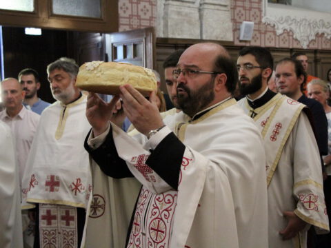 IMG_6601_resize_resize