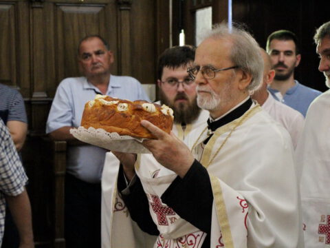 IMG_6602_resize_resize