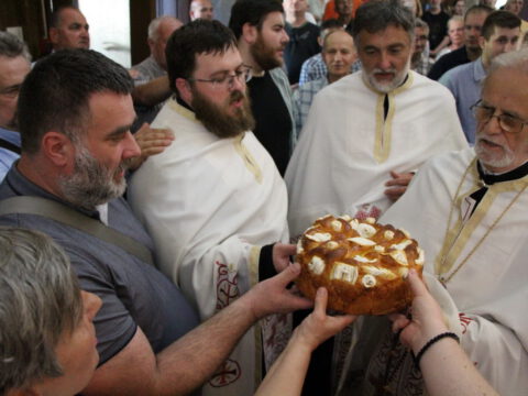 IMG_6603_resize_resize