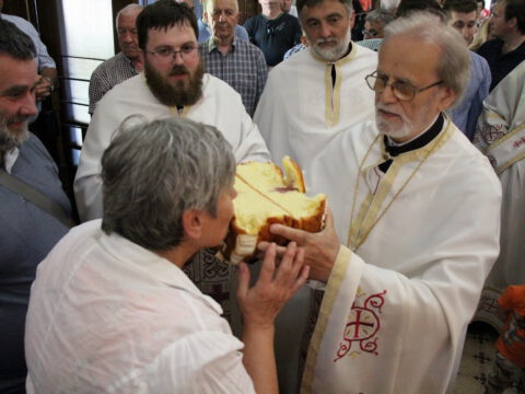 IMG_6607_resize_resize