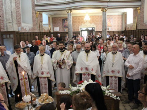 IMG_6611_resize_resize