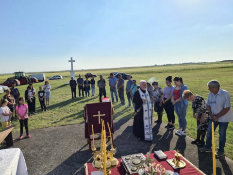 viber_image_2022-06-02_11-31-43-780_resize