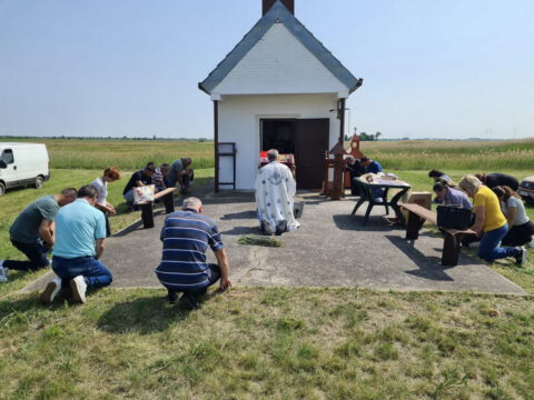 viber_image_2022-06-02_11-31-53-828_resize