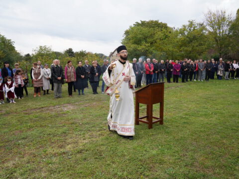 DSC06588_resize_resize