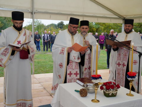 DSC06616_resize_resize