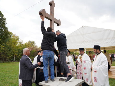 DSC06620_resize_resize