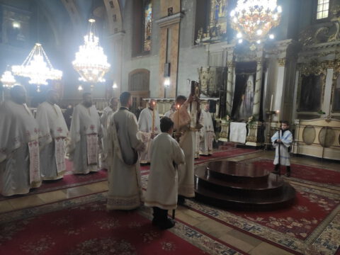 IMG_20221022_091504_1_resize