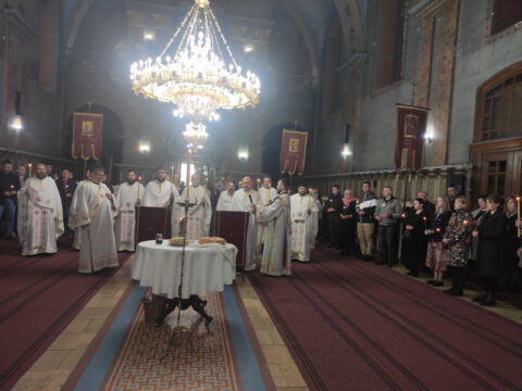 IMG_20221022_103141_resize