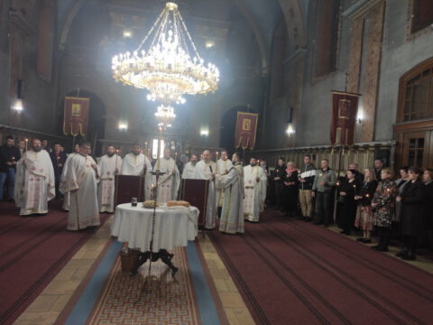 IMG_20221022_103143_resize