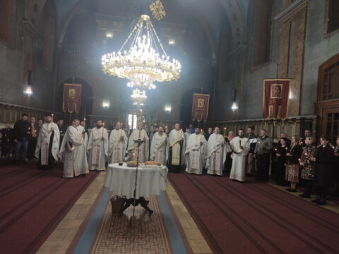 IMG_20221022_104546_resize