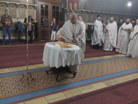 IMG_20221022_104852_resize