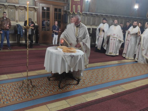 IMG_20221022_104853 - Copy_resize