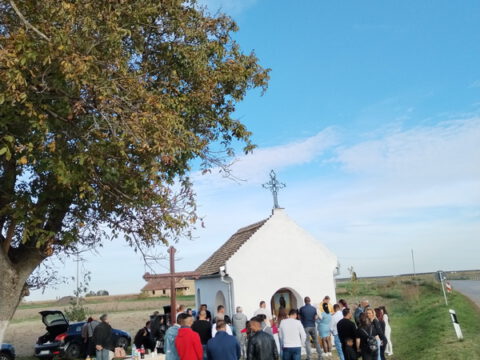 IMG_20221026_152850_resize