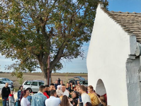 IMG_20221026_154353_resize