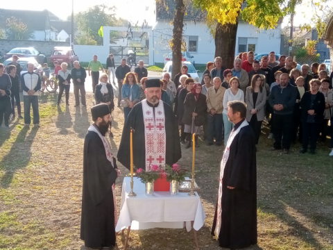 IMG_20221027_161012_resize