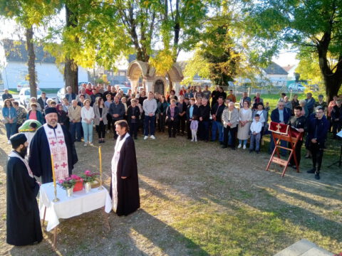 IMG_20221027_161029_resize