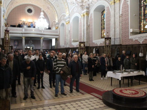 IMG_7208_resize_resize
