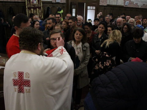 IMG_7258_resize_resize