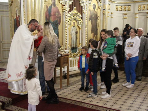 IMG_7259_resize_resize