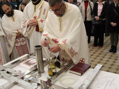 IMG_7294_resize_resize