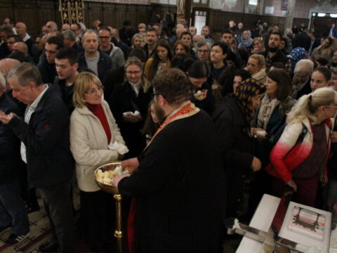 IMG_7304_resize_resize