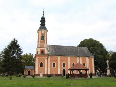 IMG_7319_resize_resize