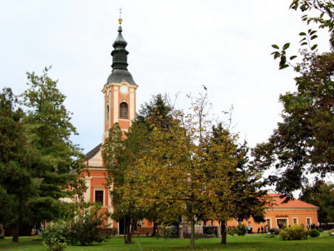 IMG_7332_resize_resize