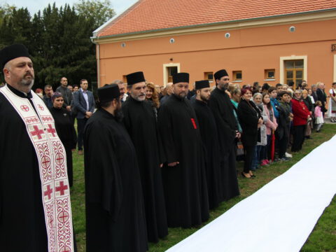 IMG_7379_resize_resize