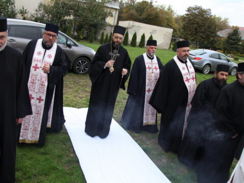 IMG_7396_resize_resize