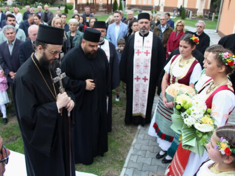 IMG_7403_resize_resize