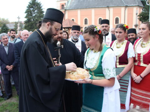 IMG_7411_resize_resize