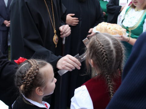 IMG_7414_resize_resize