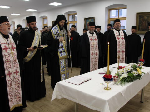 IMG_7426_resize_resize