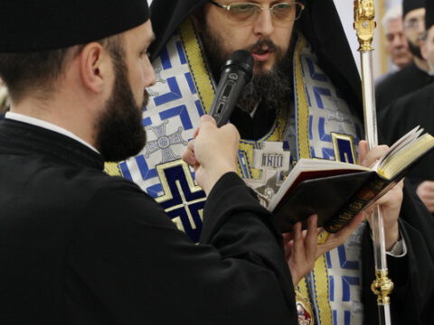 IMG_7444_resize_resize