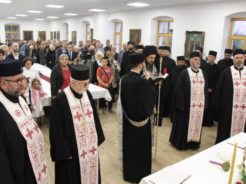 IMG_7446_resize_resize