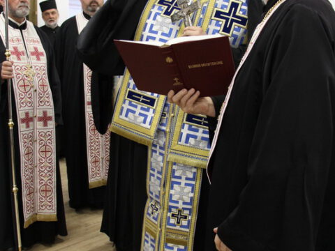 IMG_7454_resize_resize