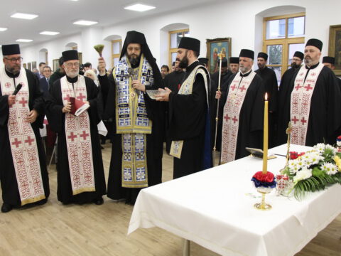 IMG_7457_resize_resize