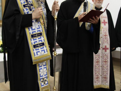 IMG_7480_resize_resize