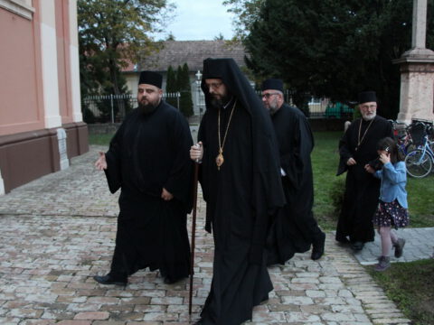 IMG_7531_resize_resize