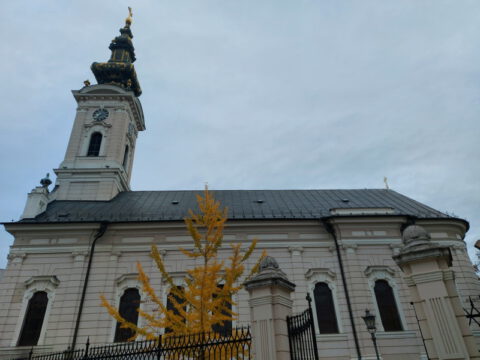 20221116_083138_resize