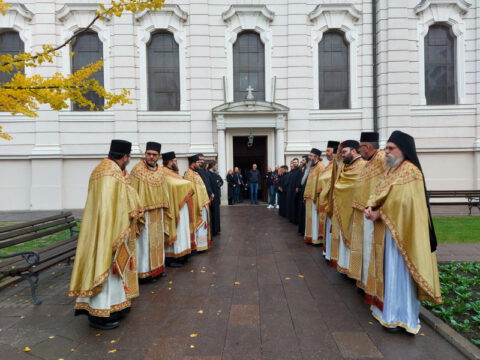 20221116_085049_resize