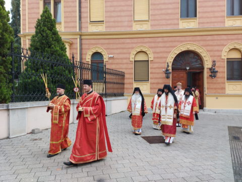 20221116_085218_resize