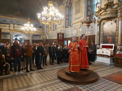 20221116_091641_resize