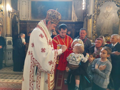 20221116_105640_resize