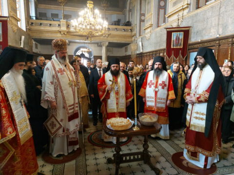 20221116_110633_resize