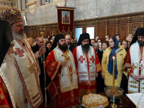 20221116_111456_resize