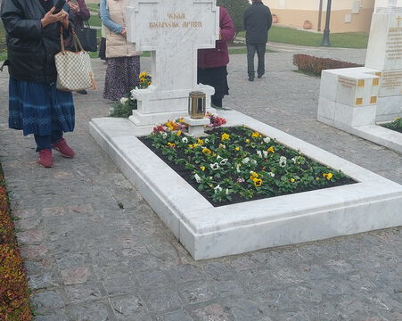 20221126_093540_resize_resize