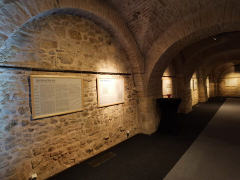 IMG_20221101_183222_resize